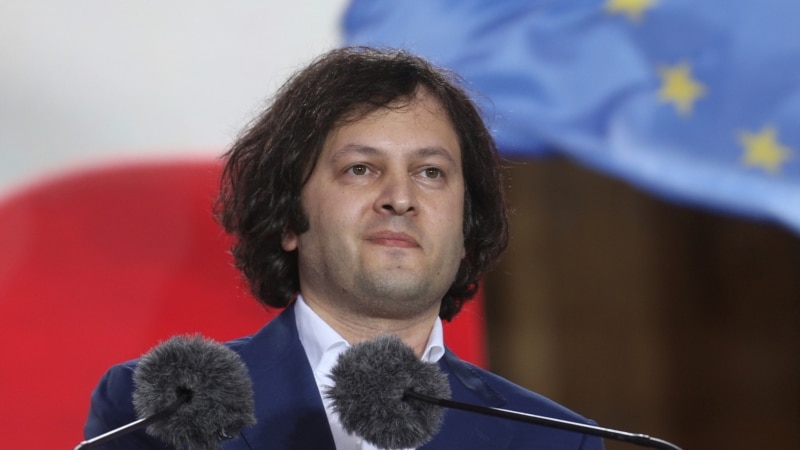 Премьер Грузии: экс-посол США поддерживала попытки революции