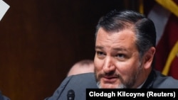 U.S. Senator Ted Cruz (Republican-Texas) at a Senate hearing in May 2019.