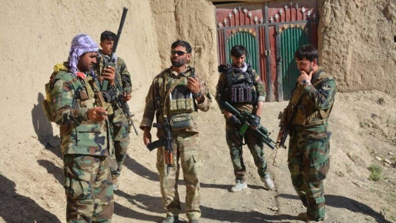 هرات چارواکي: په ګلران او ادرسکن ولسوالیو کې ۲۰ طالبان وژل شوي