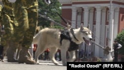 Военнослужащие идут с собакой в центре Душанбе. Иллюстративное фото.