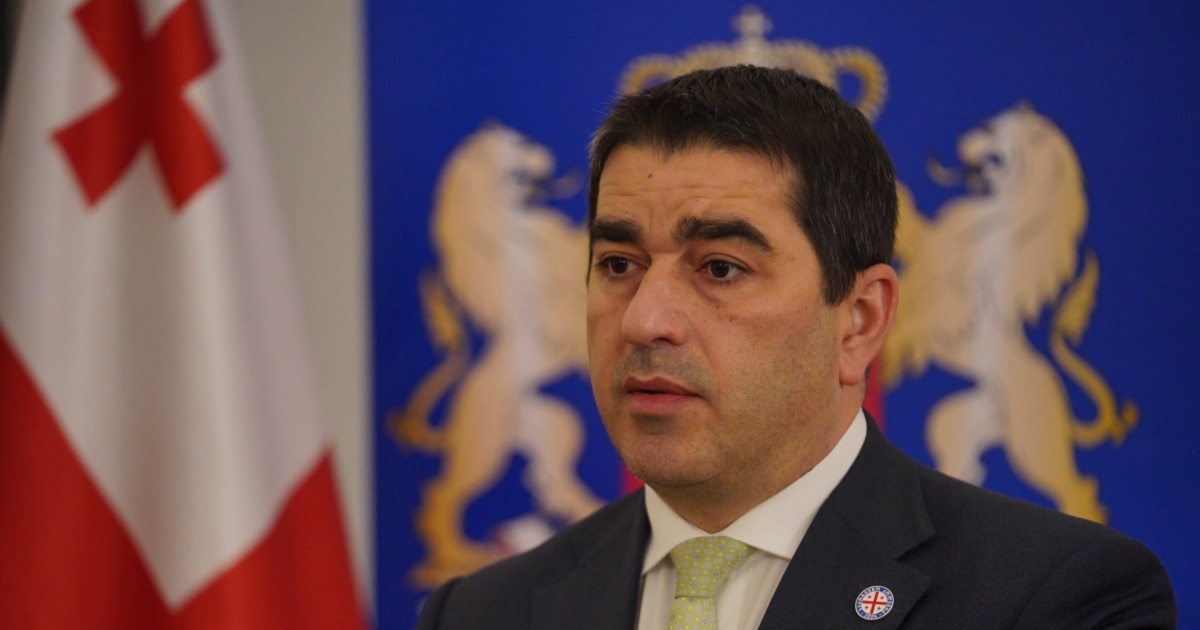 პაპუაშვილი "საქართველოს სახელმწიფოებრიობის იდეაზე შეტევად" აფასებს ევროპარლამენტისა და PACE-ს რეზოლუციებს