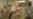 U.S.: UN Committee Questions Officials On Torture