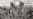 Doctors Urge Pakistani Government To Impose Mosque Restrictions To Avoid Surge In Coronavirus Cases