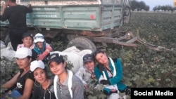 Young Uzbek women take a break from picking cotton.