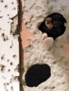 Bosnia-Herzegovina - A man looks through a hole in a war-shattered building in Sarajevo January 4. 1997