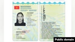 Жаңы үлгүдөгү айдоочулук күбөлүк.