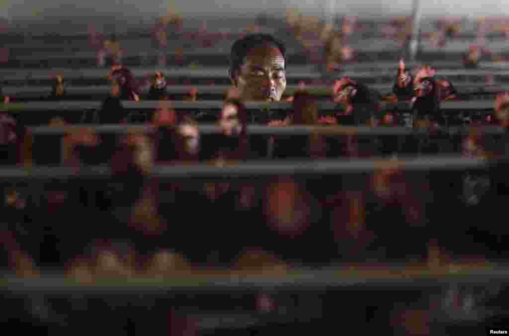 An employee works at a poultry farm on the outskirts of Shanghai. (Reuters/Aly Song)