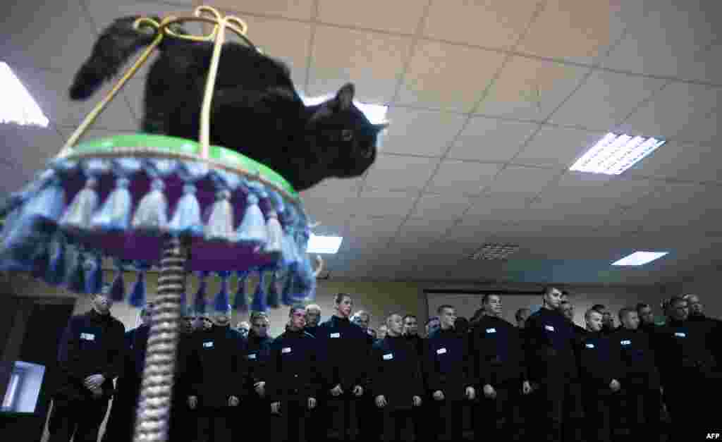 Russian inmates watch a performance by Russian clown and cat trainer Yury Kuklachev at Kolpino prison outside St. Petersburg. (AFP/Olga Maltseva)