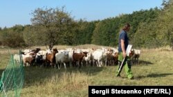 Ökogazdaság Prága mellett, 2020.