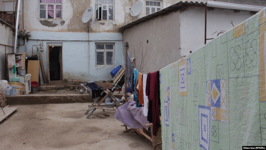 Қара мүше порно