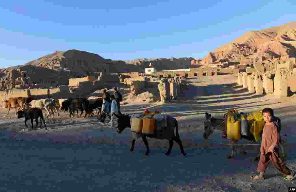 Hazara tribespeople walk with their animals in Bamiyan. 