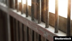 Grilat në një qeli burgu. Fotografi ilustruese nga arkivi