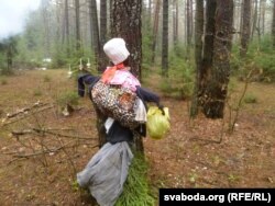 Магілёўскае пудзіла зімы