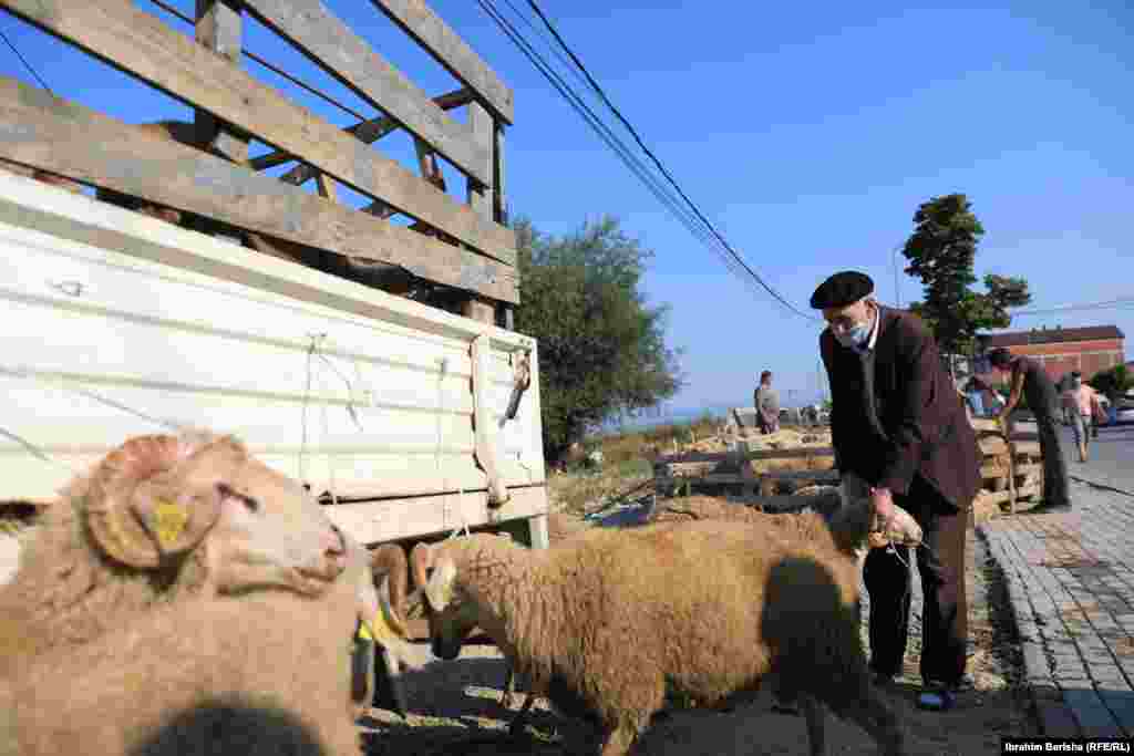 Disa besimtarë bëhen gati për therjen e kafshëve për Kurban Bajram.