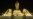 Turkmenistan Marks Niyazov's Birthday
