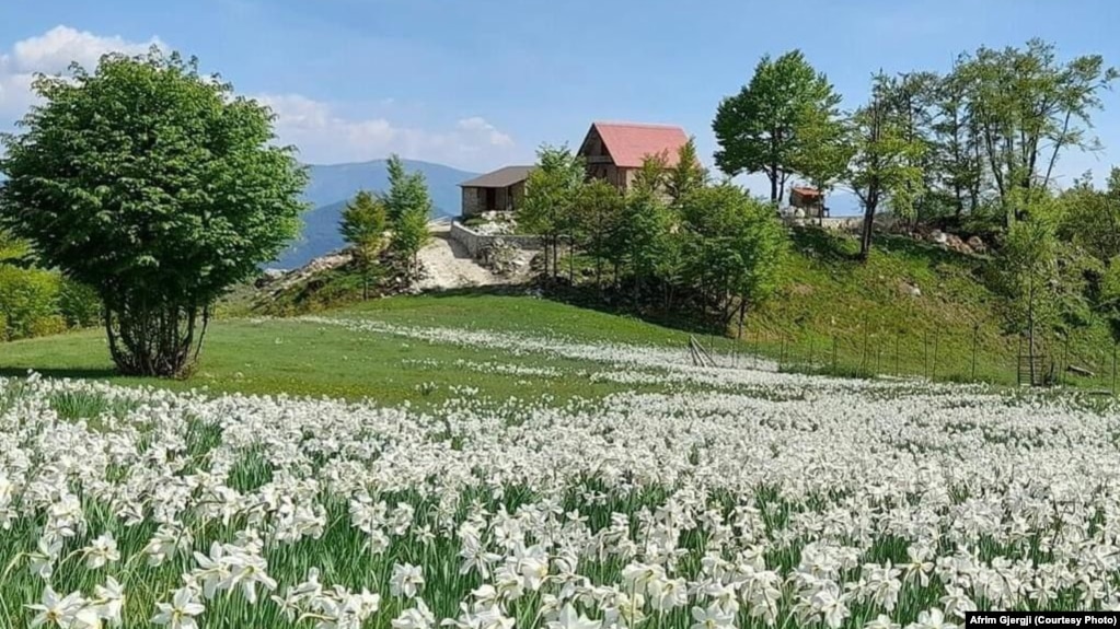 Pamje nga fshati Palç, ku ndodhet bujtina e Afrim Gjergjit.