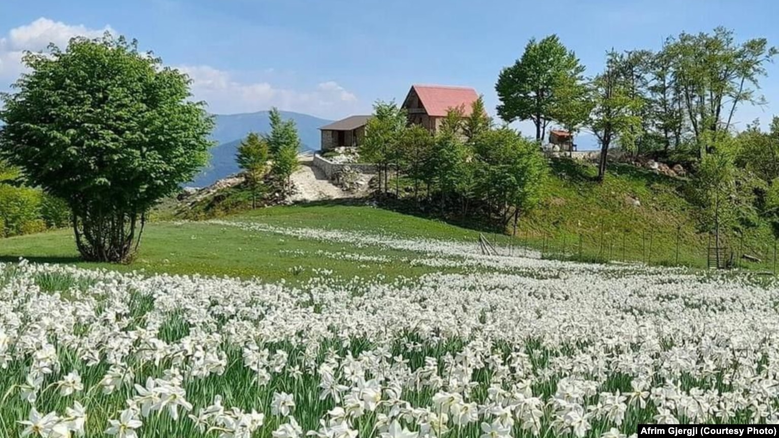 Pamje nga fshati Palç, ku ndodhet bujtina e Afrim Gjergjit.