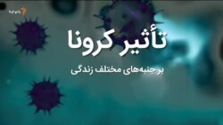 صبحانه با خبر ۶ فروردین