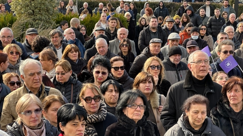 "უნივერსიტეტების შეერთება ვერ იქნება რეფორმა" - სტუ-ს ლექტორები და სტუდენტები აქციას მართავენ