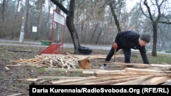 Заготовка дров. Иллюстративное фото