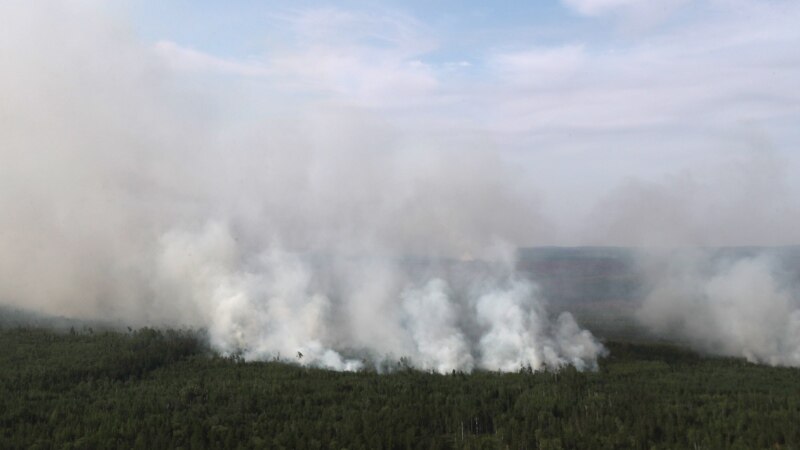 Greenpeace: данные Рослесхоза о лесных пожарах занижены в 57 раз