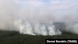 Лесные пожары в Красноярском крае, 2019 год