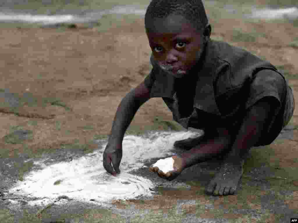 Congo crisis - A Congolese child tries to salvage spilled flour distributed by the World Food Program (WFP), 15 November 2008. More than 1 million people have been displaced by fighting between local militias and the Congolese army in recent months. 