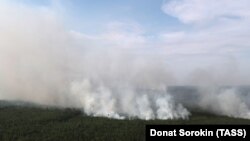 Лісова пожежа в Красноярському краї, Росія, серпень 2019 року