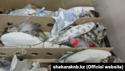 Провозимые в коробке соколы.