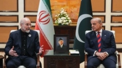 دیدار محمدباقر قالیباف (چپ) با شهباز شریف در روز شنبه