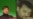 Chechnya's Best-Kept Secret: The Workings of the Akhmad Kadyrov Fund