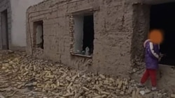 Diňle: Jaýyny saryngarynjadan gorap bilmedik adamlar näme etmeli?