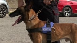 Ben i Lotus - pomoć crnogorskoj policiji u otkrivanju narkotika