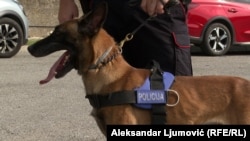 Ben i Lotus - pomoć crnogorskoj policiji u otkrivanju narkotika