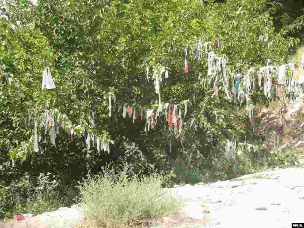 Зиёрати Чилучорчашма #40