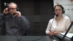 მიუსაფარ ცხოველებს კანონი სათანადოდ ვერ იცავს