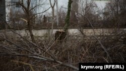 Ілюстраційне фото