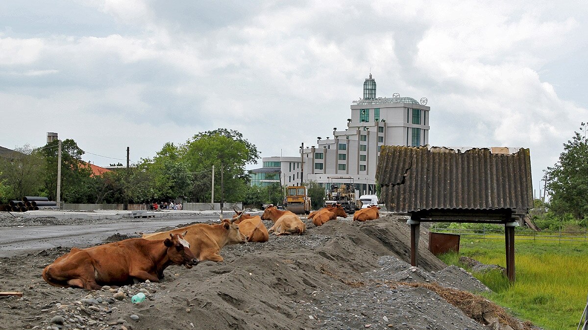 Город солнца