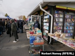 Anticariatul Doamnei oferă peste 65.000 de titluri, iar cărțile sunt cumpărate direct, de la persoane, dar selectiv. Dintr-o bibliotecă ce poate conține mii de cărți, în depozit pot intra doar un sfert din totalul titlurilor sau chiar toate, în funcție de ofertă.