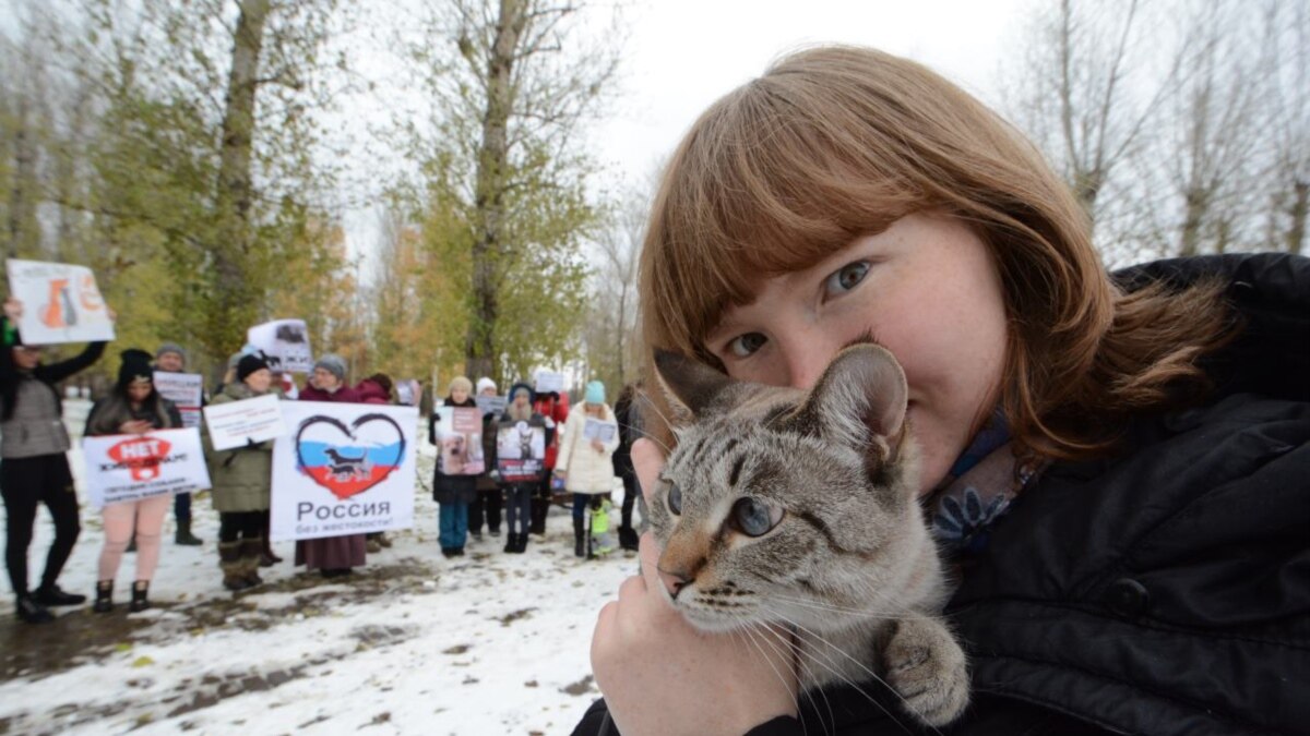 Казанцы поддержали акцию против хабаровских живодерок