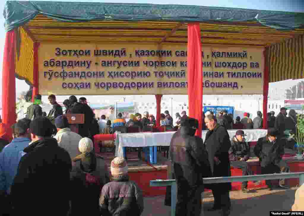 Tajikistan,Khatlon region,Exibation of animals in Khatlon province,27Dec2010