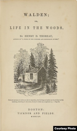 Обложка первого издания книги Торо "Уолден, или Жизнь в лесу". Иллюстрация сестры Торо Софии. 1854
