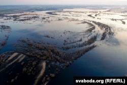 Паводка на Палесьсі