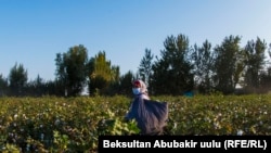 PHOTOGALLERY: Women And the Cotton Campaign In Kyrgyzstan