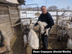 Иван Сидоров и его козы