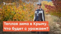 Теплая зима в Крыму. Что будет с урожаем? | Дневное ток-шоу