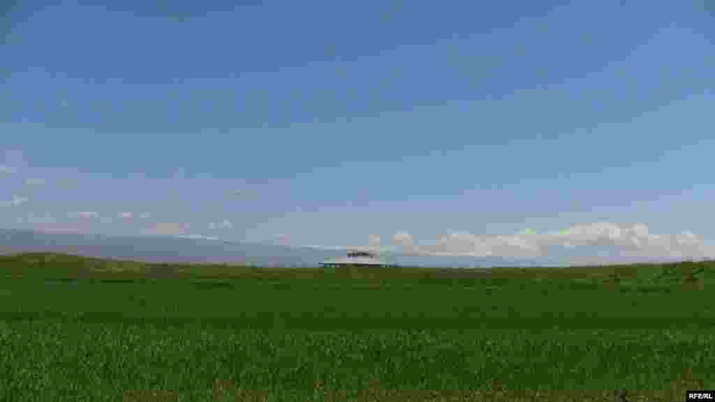 Чүйдөгү унутулган Ноокат #1