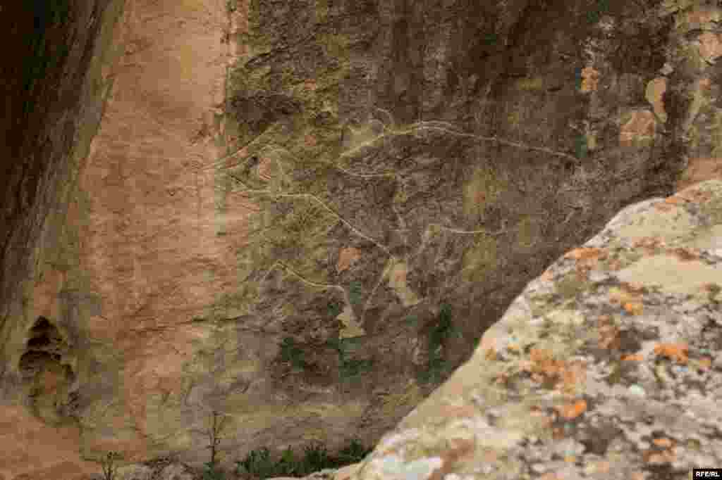 Qobustan qoruğu #16