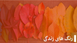 برنامۀ رنگ های زندگی