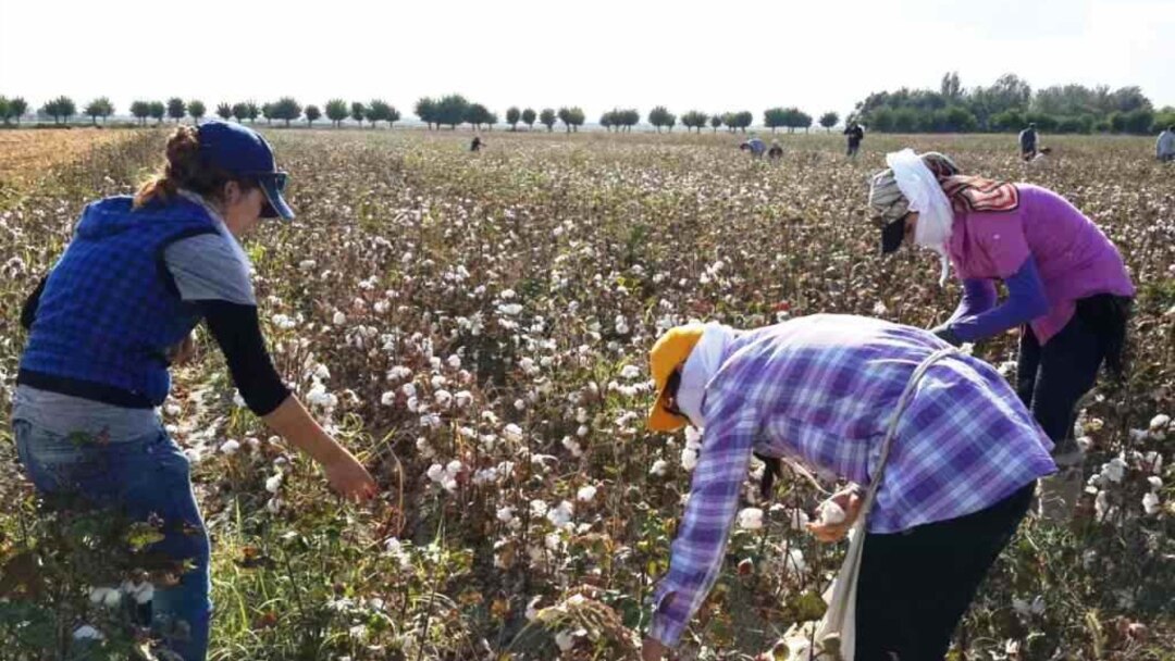 Жетілген әйелдер порно фото галерея